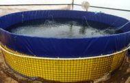 Keystone of future sustainable aquaculture – Biofloc