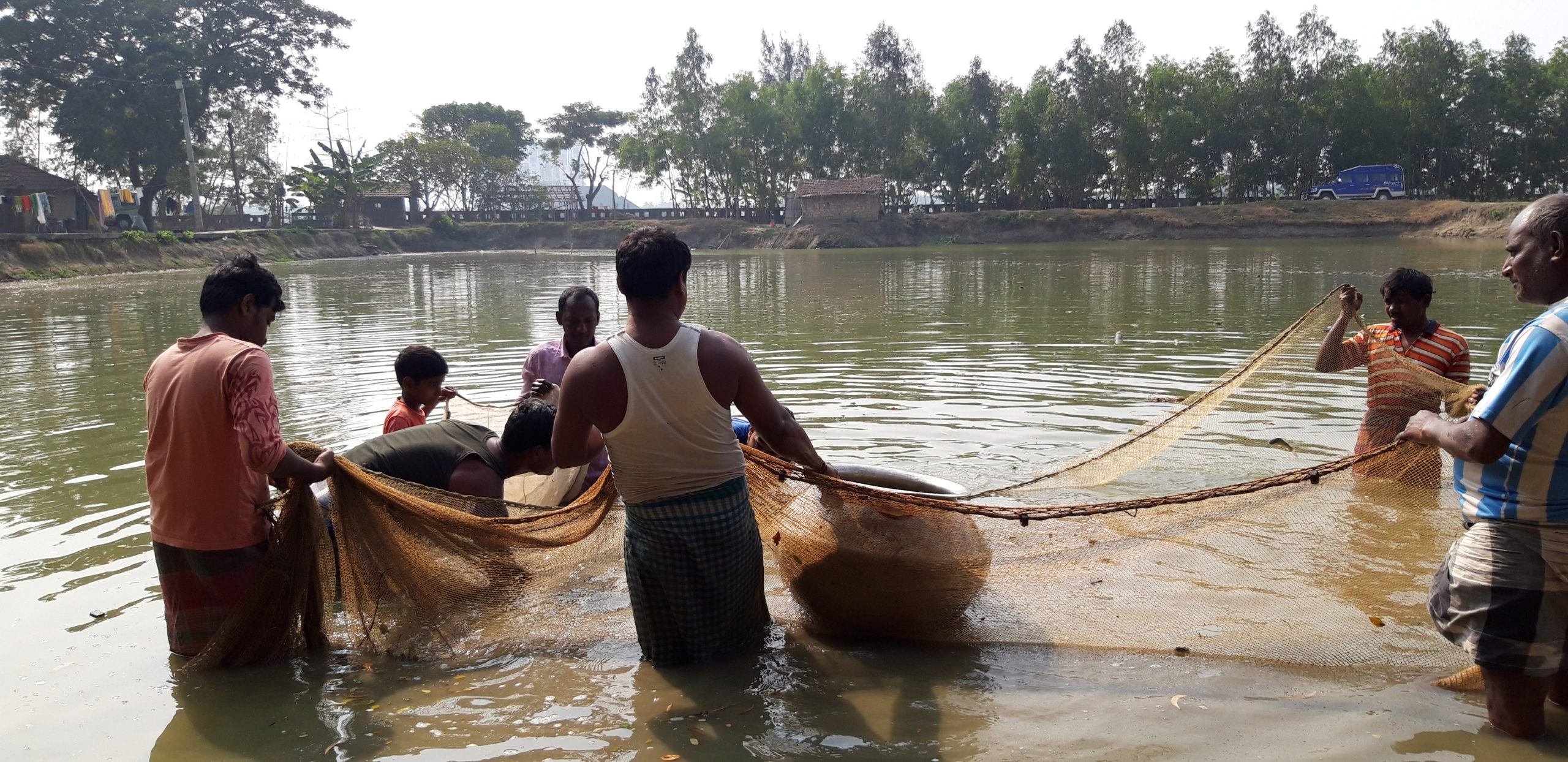 Diversification of Fisheries: Fish farmers in Haldia beat Covid 19 blues