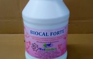 Vetbiotics launched Biocal Forte for safe transport of live fish during Covid 19 period