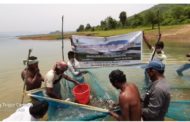 Covid 19: CIFRI adopts Salia reservoir in Odisha for livelihood improvement of fishers