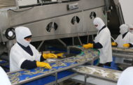 Ecuadorian shrimp export to China witnessed 49% drop in June