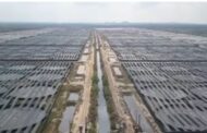 The Minh Phu “2-3-4” super-intensive, round-tank culture system