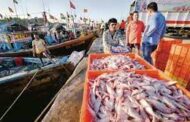 Department of Fisheries organizes national webinar on “Promotion of frozen fish and fish products”
