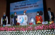 Department of Fisheries celebrates World Fisheries Day